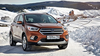 Ford выяснил, снег или листья представляют большую опасность на дороге